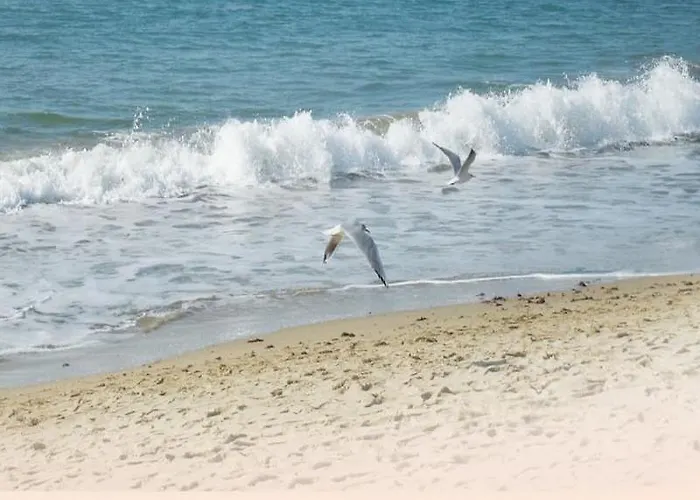 Libero Busan